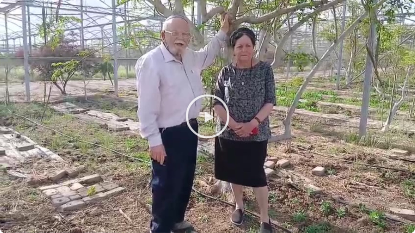 קבוצה בביקור