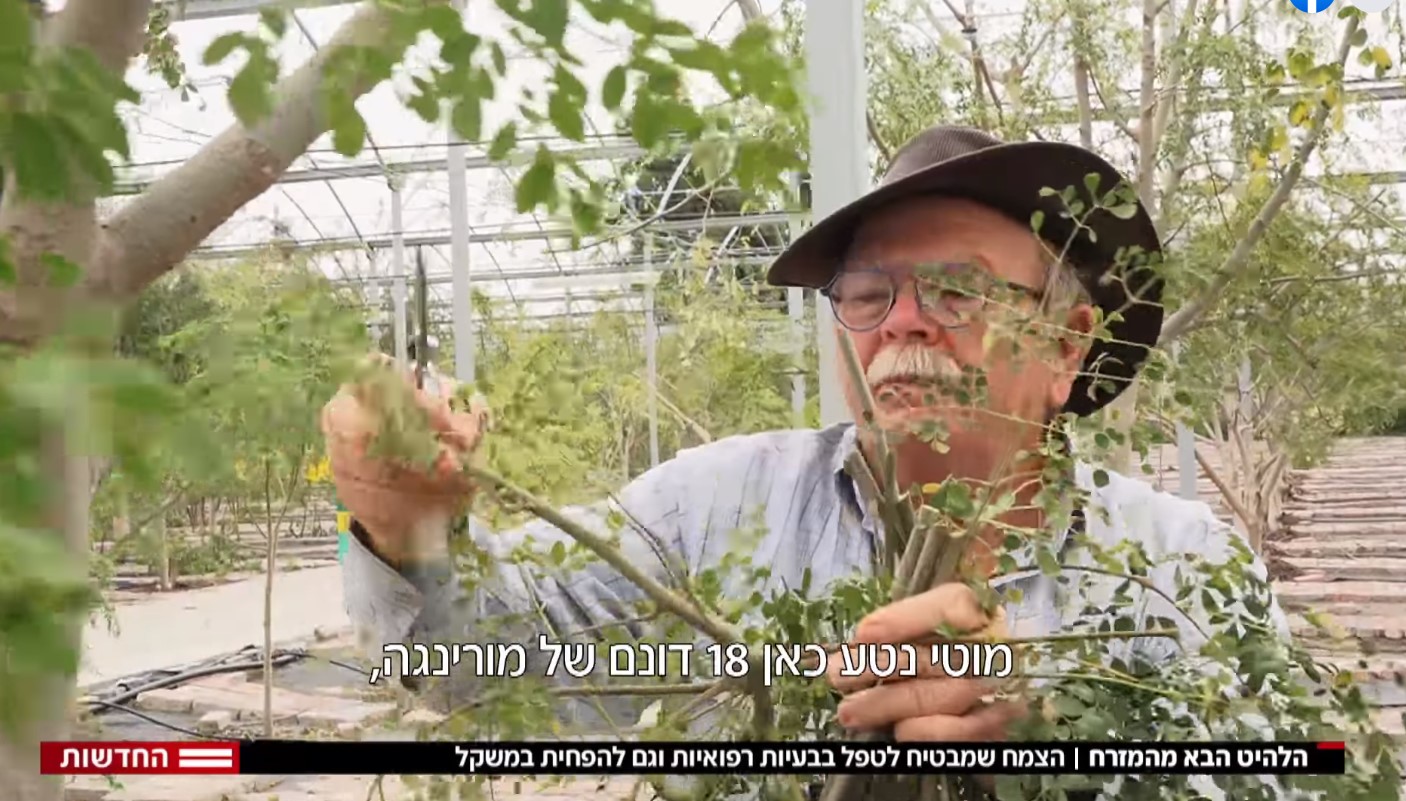 פתח 4