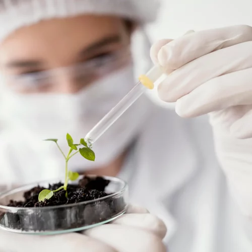 close-up-scientist-watering-plant