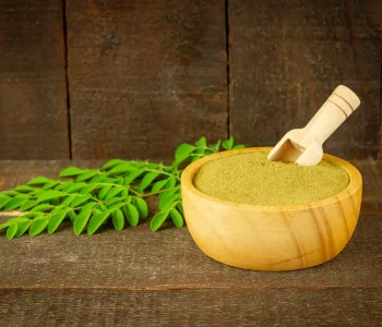 moringa-g4461407b6_1920